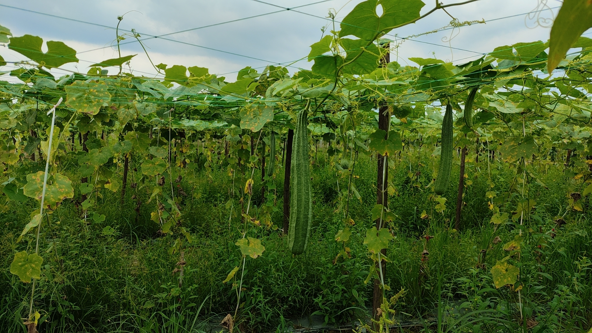 U8国际·(中国)有限公司官网